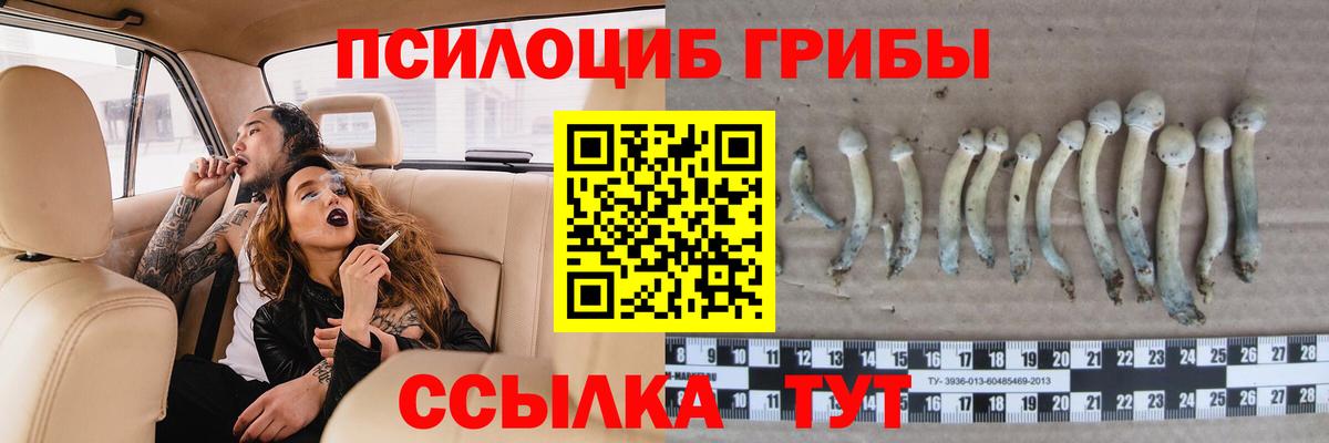 Псилоцибиновые грибы ЛСД  Галлюциногенные грибы Psilocybine cubensis  Славянск-на-Кубани  Вход с VPN 